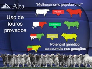“Melhoramento populacional”
                       Provado 1


 Uso de
 touros            Provado 2


provados
                 Provado 3



                   Potencial genético
                se acumula nas gerações
 