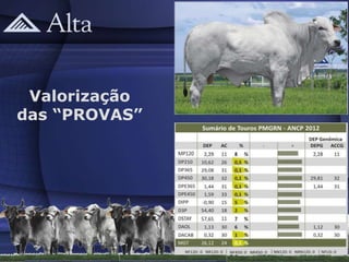 Valorização
das “PROVAS”
 
