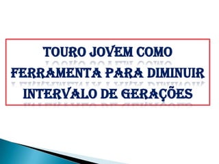 Touro jovem como
ferramenta para diminuir
 Intervalo de Gerações
 
