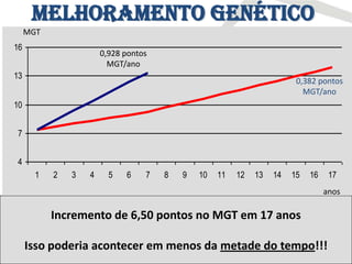 Melhoramento Genético
        através das gerações
       MGT
  16
                    0,928 pontos
               Filhos melhores
                      MGT/ano                    que seus pais
  13
                                                                                     0,382 pontos
                                                                                       MGT/ano
   1985 – MGT 7,35                     1992 – MGT 9,20                       2002 – MGT 13,85
  10


   7                      7 anos                              10 anos


   4
        1    2    3   4     5      6   7   8   9 10      11     12      13    14 15 16 17
Legat MJ da Olho D'agua                Nurmahal COL                          Macuni do Salto
                                                                                           anos

             Incremento de 6,50 pontos no MGT em 17 anos

       Isso poderia acontecer em menos da metade do tempo!!!
 