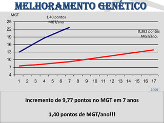 Melhoramento Genético
       através das gerações
   MGT
                         1,40 pontos
  25                      MGT/ano
  22            Filhos melhores que seus pais                             0,382 pontos
  19                                                                        MGT/ano

  16 – MGT 12,91
  2001                                 2005 – MGT 18,51            2008 – MGT 22,68
  13
  10                     4 anos                           3 anos
   7
   4
       1    2    3   4     5      6    7    8   9   10 11 12 13 14 15 16 17
REM Moyne                              REM Quisco                  REM Torixoreu
                                                                                   anos

            Incremento de 9,77 pontos no MGT em 7 anos

                          1,40 pontos de MGT/ano!!!
 