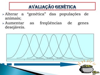 Avaliação genética
 Alterar   a “genética” das populações de
  animais;
 Aumentar      as   freqüências   de   genes
  desejáveis.
 