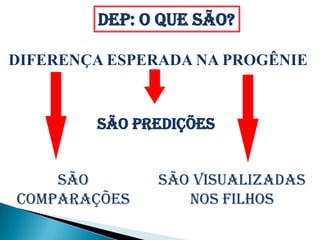 DEP: O que são?

DIFERENÇA ESPERADA NA PROGÊNIE


        SÃO PREDIÇÕES


    SÃO        SÃO VISUALIZADAS
COMPARAÇÕES       NOS FILHOS
 