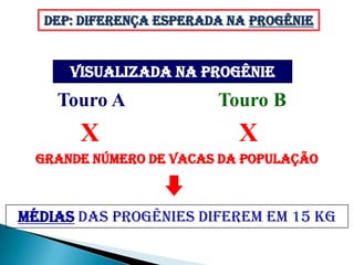 DEP: Diferença Esperada na Progênie


      VISUALIZADA NA PROGÊNIE
    Touro A              Touro B
       X                    X
  GRANDE NÚMERO DE VACAS DA POPULAÇÃO



MÉDIAS DAS PROGÊNIES DIFEREM EM 15 kg
 