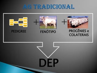 +              +
                          Karvardi
                           Imp.
                  Dumu
Irmãos
                         Mara Imp.
         Gim de
Filhos
         Garça            Survana
Netos                      Imp.
                  Dahi
                         Cartomant
                             e




  PEDIGREE                               FENÓTIPO       PROGÊNIES e
                                                        COLATERAIS




                                     DEP
 