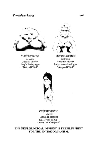 Prometheus Rising IOI
THE NEUROLOGICAL IMPRINT IS THE BLUEPRINT
FOR THE ENTIRE ORGANISM.
 