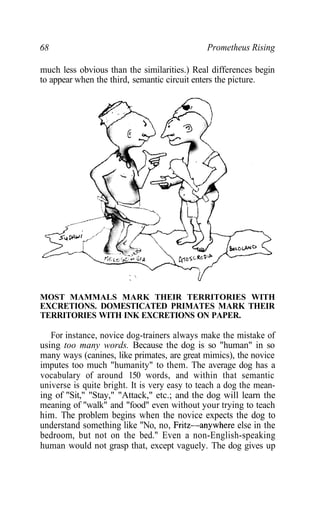 68 Prometheus Rising
much less obvious than the similarities.) Real differences begin
to appear when the third, semantic circuit enters the picture.
MOST MAMMALS MARK THEIR TERRITORIES WITH
EXCRETIONS. DOMESTICATED PRIMATES MARK THEIR
TERRITORIES WITH INK EXCRETIONS ON PAPER.
For instance, novice dog-trainers always make the mistake of
using too many words. Because the dog is so "human" in so
many ways (canines, like primates, are great mimics), the novice
imputes too much "humanity" to them. The average dog has a
vocabulary of around 150 words, and within that semantic
universe is quite bright. It is very easy to teach a dog the mean-
ing of "Sit," "Stay," "Attack," etc.; and the dog will learn the
meaning of "walk" and "food" even without your trying to teach
him. The problem begins when the novice expects the dog to
understand something like "No, no, Fritz—anywhere else in the
bedroom, but not on the bed." Even a non-English-speaking
human would not grasp that, except vaguely. The dog gives up
 