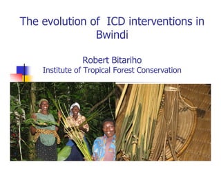 The evolution of ICD interventions in 
Bwindi 
Robert Bitariho 
Institute of Tropical Forest Conservation 
 