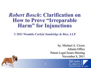 Robert Bosch case (Proving Irreparable Harm)