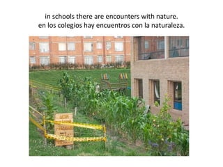 in schools there are encounters with nature.
en los colegios hay encuentros con la naturaleza.