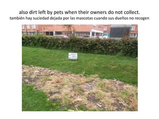 also dirt left by pets when their owners do not collect.
también hay suciedad dejada por las mascotas cuando sus dueños no recogen