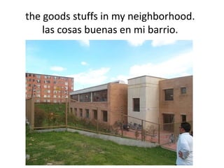 the goods stuffs in my neighborhood.
    las cosas buenas en mi barrio.
 