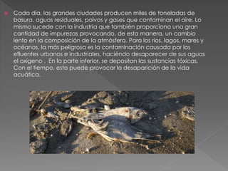  Cada día, las grandes ciudades producen miles de toneladas de
basura, aguas residuales, polvos y gases que contaminan el aire. Lo
mismo sucede con la industria que también proporciona una gran
cantidad de impurezas provocando, de esta manera, un cambio
lento en la composición de la atmósfera. Para los ríos, lagos, mares y
océanos, la más peligrosa es la contaminación causada por los
efluentes urbanos e industriales, haciéndo desaparecer de sus aguas
el oxígeno . En la parte inferior, se depositan las sustancias tóxicas.
Con el tiempo, esto puede provocar la desaparición de la vida
acuática.
 