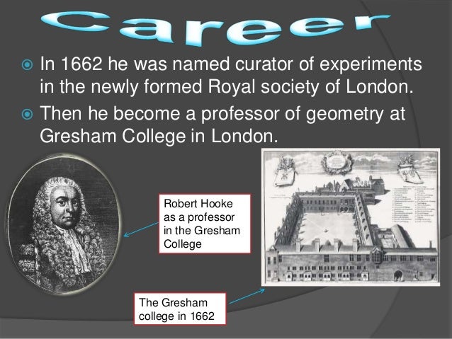 Robert Hooke Paula