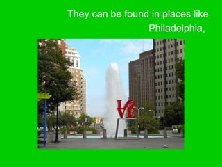 They can be found in places like
Philadelphia,
 
