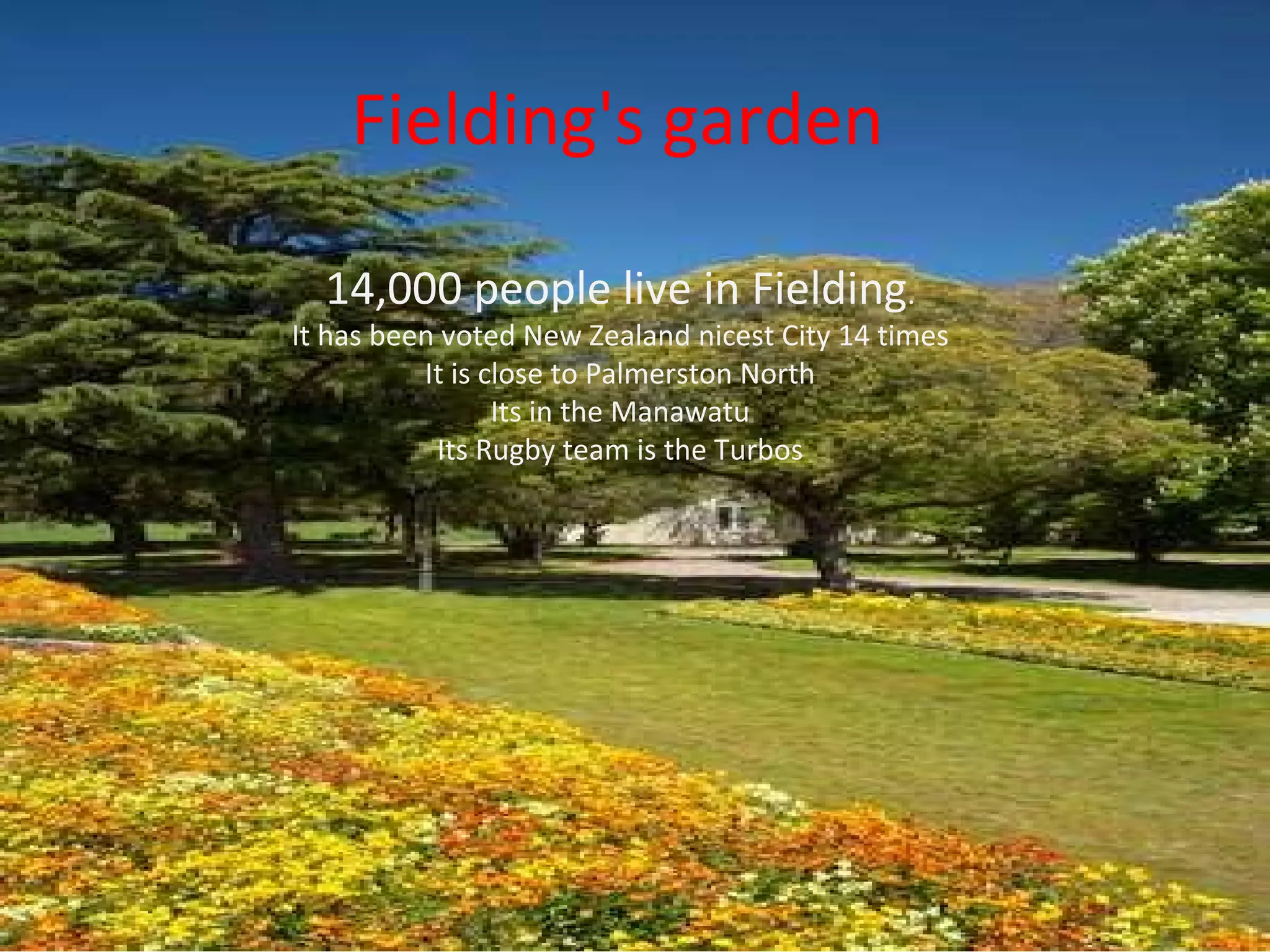 Fielding's garden 14,000 people live in Fielding . It has been voted New Zealand nicest City 14 times It is close to Palmerston North Its in the Manawatu Its Rugby team is the Turbos