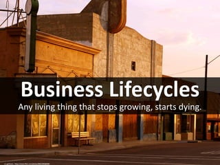 Business Lifecycles
Any living thing that stops growing, starts dying.
cc: gwilmore - https://www.flickr.com/photos/86013963@N00
 