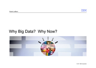 Robert LeBlanc




Why Big Data? Why Now?




                         © 2011 IBM Corporation
 
