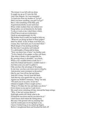 The minute it was left with me alone
It caught me up as if I were the fish
And it the fishpole. So I was translated
To loud cries from my brother of "Let go!
Don't you know anything, you girl? Let go!"
But I, with something of the baby grip
Acquired ancestrally in just such trees
When wilder mothers than our wildest now
Hung babies out on branches by the hands
To dry or wash or tan, I don't know which,
(You'll have to ask an evolutionist)—
I held on uncomplainingly for life.
My brother tried to make me laugh to help me.
"What are you doing up there in those grapes?
Don't be afraid. A few of them won't hurt you.
I mean, they won't pick you if you don't them."
Much danger of my picking anything!
By that time I was pretty well reduced
To a philosophy of hang-and-let-hang.
"Now you know how it feels," my brother said,
"To be a bunch of fox-grapes, as they call them,
That when it thinks it has escaped the fox
By growing where it shouldn't—on a birch,
Where a fox wouldn't think to look for it—
And if he looked and found it, couldn't reach it—
Just then come you and I to gather it.
Only you have the advantage of the grapes
In one way: you have one more stem to cling by,
And promise more resistance to the picker."
One by one I lost off my hat and shoes,
And still I clung. I let my head fall back,
And shut my eyes against the sun, my ears
Against my brother's nonsense; "Drop," he said,
"I'll catch you in my arms. It isn't far."
(Stated in lengths of him it might not be.)
"Drop or I'll shake the tree and shake you down."
Grim silence on my part as I sank lower,
My small wrists stretching till they showed the banjo strings.
"Why, if she isn't serious about it!
Hold tight awhile till I think what to do.
I'll bend the tree down and let you down by it."
I don't know much about the letting down;
But once I felt ground with my stocking feet
And the world came revolving back to me,
I know I looked long at my curled-up fingers,
Before I straightened them and brushed the bark off.

 