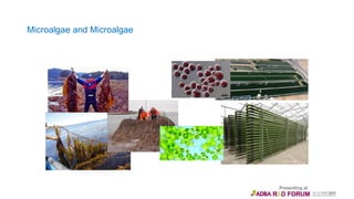 Microalgae and Microalgae
 