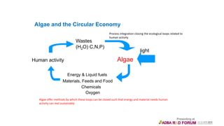 Algae and the Circular Economy
Human activity
Wastes
(H2O) C,N,P)
Energy & Liquid fuels
Materials, Feeds and Food
Chemicals
Algae
light
Oxygen
Algae offer methods by which these loops can be closed such that energy and material needs human
activity can met sustainably
Process integration closing the ecological loops related to
human activity
 