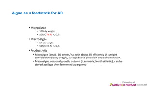 Algae as a feedstock for AD
• Microalgae
• 10% dry weight
• 50% C, 7% N, H, O, S
• Macroalgae
• 5% dry weight
• 50% C 1% N, H, O, S
• Productivity
• Microalgae (best), 60 tonnes/ha, with about 2% efficiency of sunlight
conversion typically at 1g/L, susceptible to predation and contamination.
• Macroalgae, seasonal growth, autumn ( Laminaria, North Atlantic), can be
stored as silage then fermented as required
 