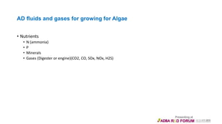 AD fluids and gases for growing for Algae
• Nutrients
• N (ammonia)
• P
• Minerals
• Gases (Digester or engine)(CO2, CO, SOx, NOx, H2S)
 