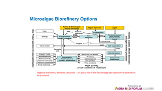 Microalgae Biorefinery Options
Regional economics, demands, resources - all play a role in the best strategy and spectrum of products to
be produced.
 