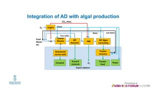 Export Options
AD
Coarse
filtratio
n
MF
Nutrient
PBR
Dewatered
course solid
MF Algae
harvesting
Food
Waste
etc.
Fine solids
Water
CO2, Heat,
Engine Power
O2
O2
Protein
recovery
Protein
Feed
Compost
Cell debris
N and P
minerals
Power
Integration of AD with algal production
 