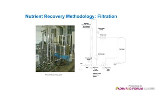 Nutrient Recovery Methodology: Filtration
E-3
P-4
P-2
E-1
P-8P-7P-10
E-5
E-4
V-2
E-2
V-3
P-5
P-6
V-1
P-3
P-9
Membralox
Ceramic Microfiltration
(MF) membrane
Pore size: 0.2μm
Regenerative
Pump
Kennet K12
Feed Vessel
Pressure valve
Pressure gauge
(0-4 bar)
Pressure gauge
(0-4 bar)
Valve
Valve
Drain
Regenerative
Pump
RG550
Heat Exchanger
P-11
P-6
P-12
Picture of the processing system
Diagram of the
processing
system
 