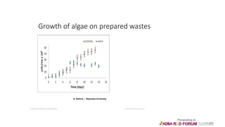 Growth of algae on prepared wastes
A. Silkina – Swansea University
EUROPEAN BIOENERGY CONFERENCE Brussels 25th of June 2012
 