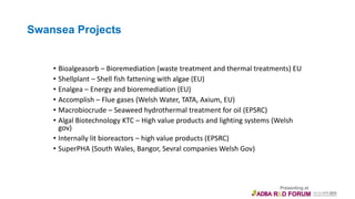 Swansea Projects
• Bioalgeasorb – Bioremediation (waste treatment and thermal treatments) EU
• Shellplant – Shell fish fattening with algae (EU)
• Enalgea – Energy and bioremediation (EU)
• Accomplish – Flue gases (Welsh Water, TATA, Axium, EU)
• Macrobiocrude – Seaweed hydrothermal treatment for oil (EPSRC)
• Algal Biotechnology KTC – High value products and lighting systems (Welsh
gov)
• Internally lit bioreactors – high value products (EPSRC)
• SuperPHA (South Wales, Bangor, Sevral companies Welsh Gov)
 