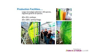 Production Facilities…
Large microalgal collection >40 species,
regularly grow 8-10 species.
40 x 20 L carboys
20 x 100 L vertical bags
(Hatchery, Live feeds & inoculum)
400 L indoor horizontal tubular system ie
‘BioFence’(sensored-up to the max)
2 x 600 L outdoor BioFence system
1 x 2000 L outdoor vertical tubular system
‘Helios’
5
 