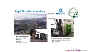 • Containing: PBRs, gas blenders,
gas distribution, HVAC and PBR
gas extraction
Algal Growth Laboratory
Port Talbot Steel works
9 million tons CO2
Ammonia
Minerals
Sewage works adjacent
New campus
Old campus
 