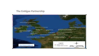 The EnAlgae Partnership
http://www.enalgae.eu/
 