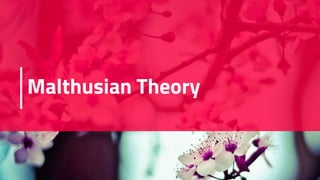 Malthusian Theory
 