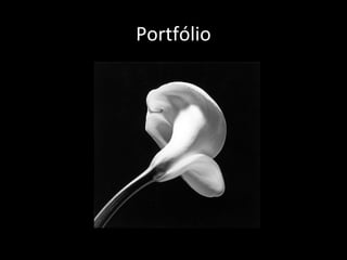 Portfólio
 