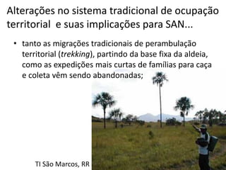 Alterações no sistema tradicional de ocupação
territorial e suas implicações para SAN...
 • tanto as migrações tradicionais de perambulação
   territorial (trekking), partindo da base fixa da aldeia,
   como as expedições mais curtas de famílias para caça
   e coleta vêm sendo abandonadas;




       TI São Marcos, RR
 