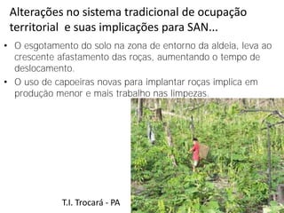 Alterações no sistema tradicional de ocupação
 territorial e suas implicações para SAN...
• O esgotamento do solo na zona de entorno da aldeia, leva ao
  crescente afastamento das roças, aumentando o tempo de
  deslocamento.
• O uso de capoeiras novas para implantar roças implica em
  produção menor e mais trabalho nas limpezas.




             T.I. Trocará - PA
 