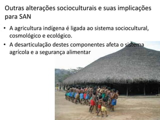 Outras alterações socioculturais e suas implicações
para SAN
• A agricultura indígena é ligada ao sistema sociocultural,
  cosmológico e ecológico.
• A desarticulação destes componentes afeta o sistema
  agrícola e a segurança alimentar
 