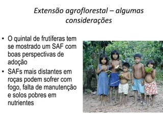 Extensão agroflorestal – algumas
                     considerações

• O quintal de frutíferas tem
  se mostrado um SAF com
  boas perspectivas de
  adoção
• SAFs mais distantes em
  roças podem sofrer com
  fogo, falta de manutenção
  e solos pobres em
  nutrientes
 