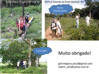 Intercâmbio Projeto GEF NW MT      Visita à fazenda de Ernst Goetsch, BA

                                                  Muito
                                              interessante!




                                É um SAF?
                                                   Muito obrigado!
                                                   gef.indigena.pnud@gmail.com
                                                   robert_safs@yahoo.com.br
Sítio antigo no Lavrado de RR
 