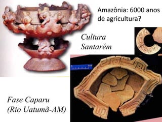 Amazônia: 6000 anos
                      de agricultura?

                  Cultura
                  Santarém




Fase Caparu
(Rio Uatumã-AM)
 