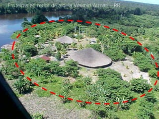 Fruteiras ao redor de aldeia Waimiri Atroari - RR
 