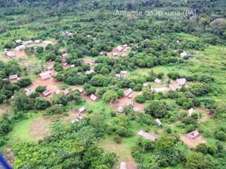 Arawete do Ipixuna (PA)
 