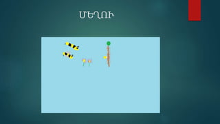 ̸ԵՂՒ
 
