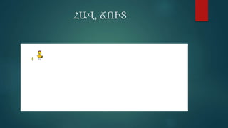 ՀԱՎ, ՃՈՒՏ
 