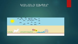 ԿԱՆԱՆՉ ԱԽՊԵՐ
 