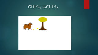 ՇՈՒՆ, ԱՇՈՒՆ
 
