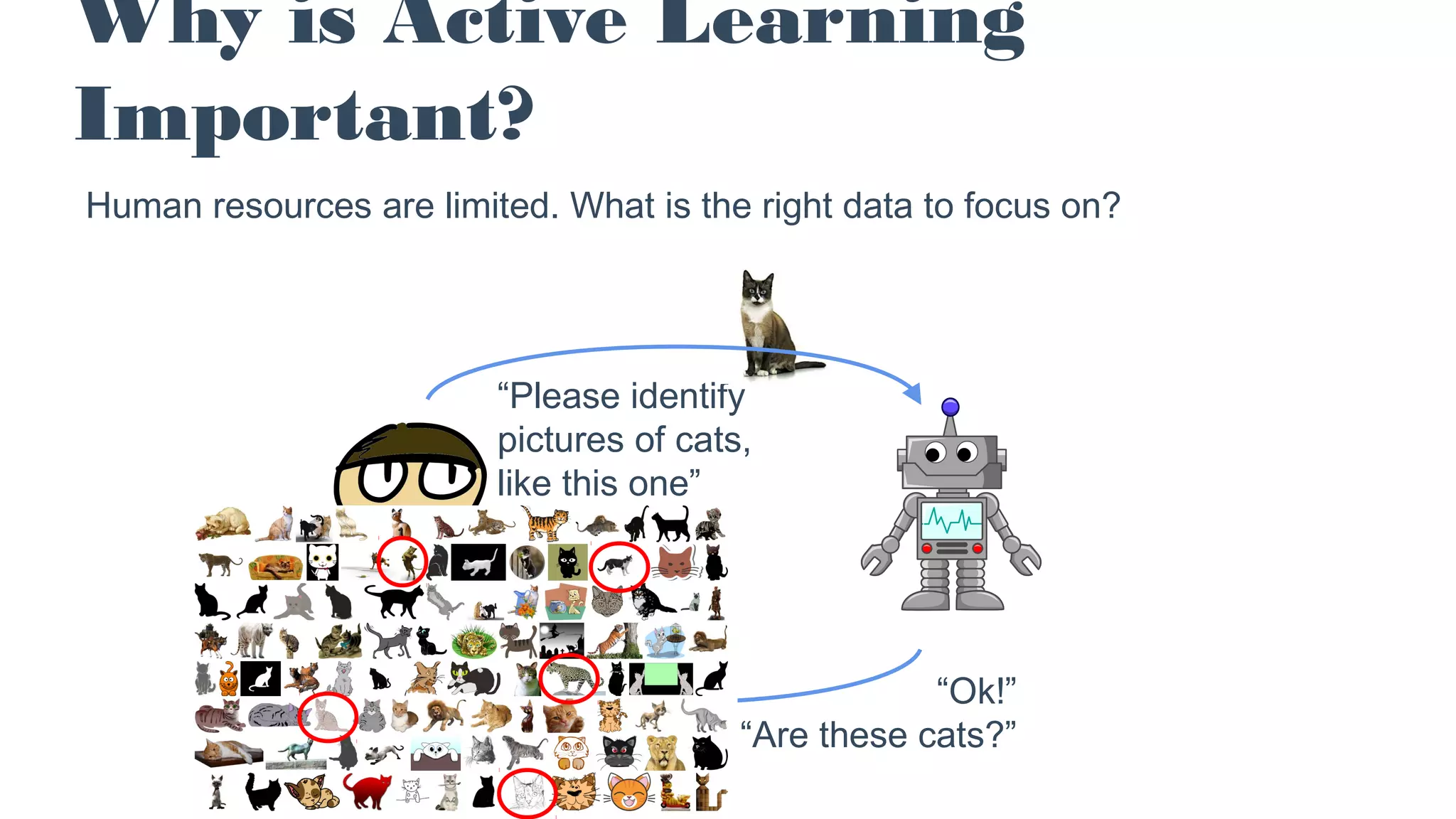 Why is Active Learning
Important?
Human resources are limited. What is the right data to focus on?
“Please identify
pictures of cats,
like this one”
“Ok!”
“Are these cats?”
 